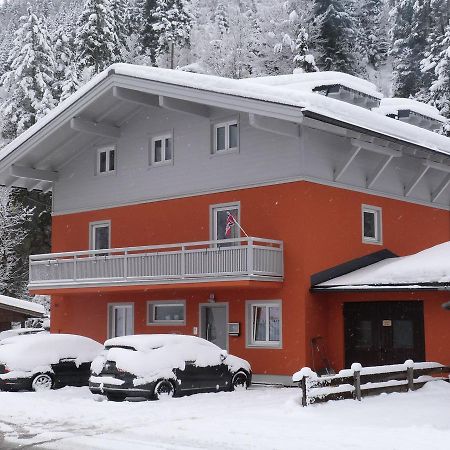 Alpen Appartements Viehhofen - Incl Sommercard Zell Am See Фихофен Экстерьер фото