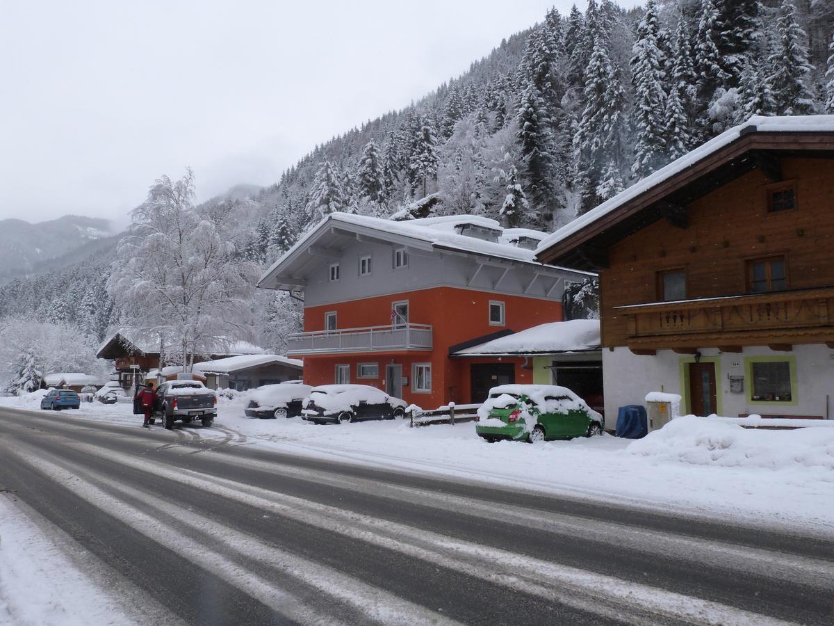 Alpen Appartements Viehhofen - Incl Sommercard Zell Am See Фихофен Экстерьер фото