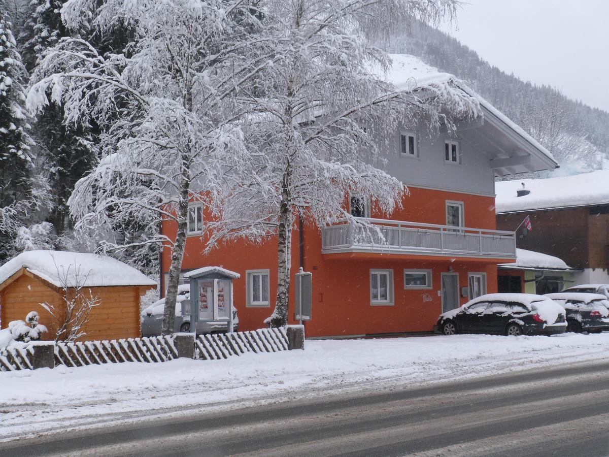 Alpen Appartements Viehhofen - Incl Sommercard Zell Am See Фихофен Экстерьер фото