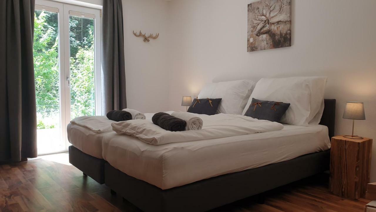 Alpen Appartements Viehhofen - Incl Sommercard Zell Am See Фихофен Экстерьер фото